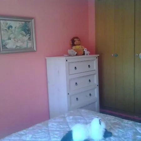Acogedor Apartamento Canet De Berenguer Naturaleza Verde Y Playa