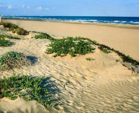 Acogedor Apartamento Canet De Berenguer Naturaleza Verde Y Playa